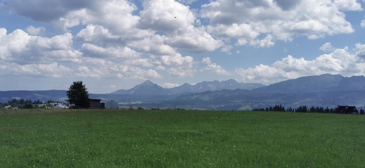 Dom Wczasowy Na Szczycie Zakopane Buitenkant foto