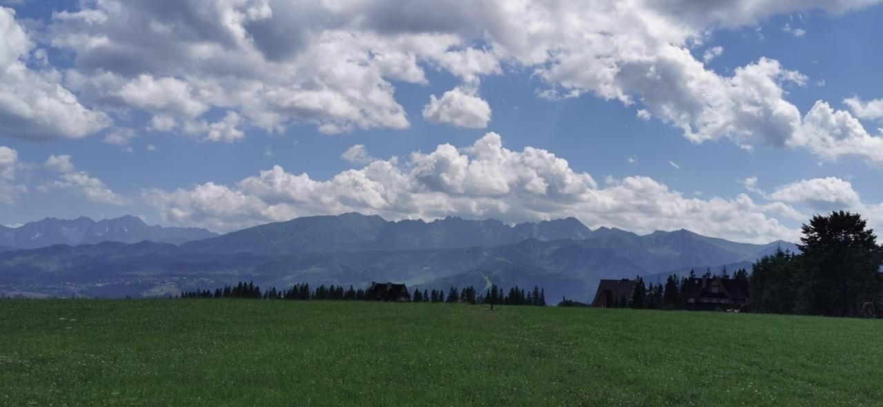 Dom Wczasowy Na Szczycie Zakopane Buitenkant foto