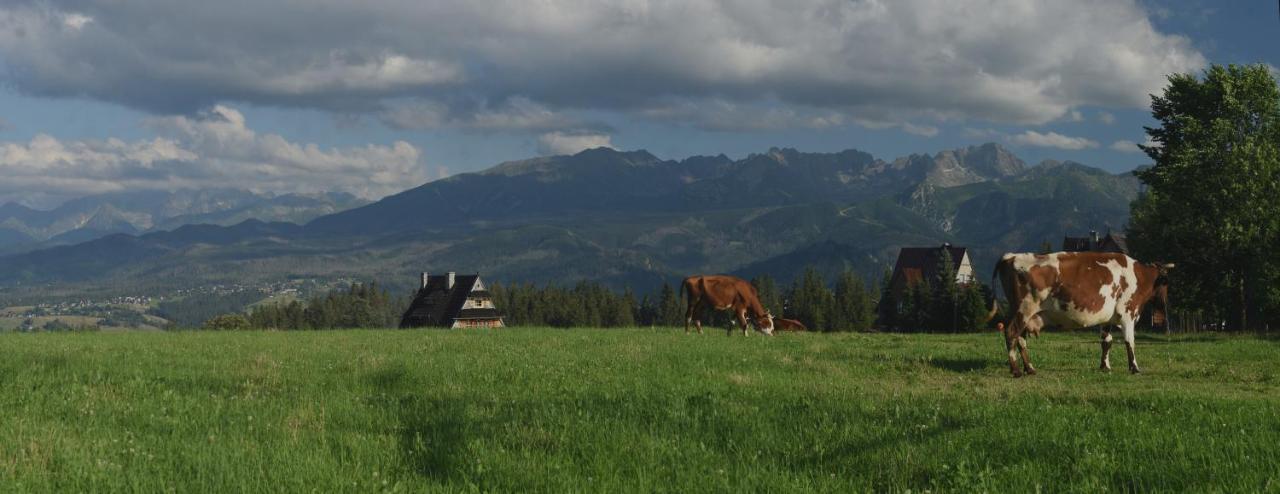 Dom Wczasowy Na Szczycie Zakopane Buitenkant foto